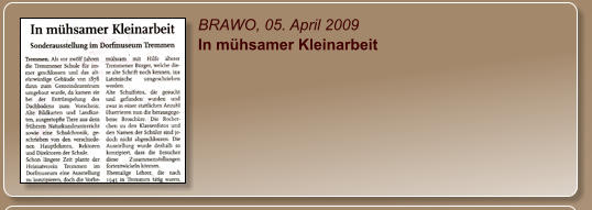 BRAWO, 05. April 2009 In mühsamer Kleinarbeit